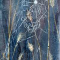 Winter Weeds