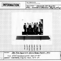 N.E. Thing Co. Ltd., Vol. 1