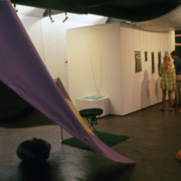 Exhibition at the Douglas Gallery (installation view)