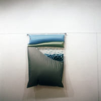 Bagged Landscape with Water (installation view)