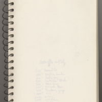 Journal/ sketchbook [entry]