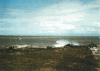 Photo of water's edge with a wave splashing on the right side. There's grass leading to the edge of the land, green rough looking water, and a blue sky with cloud cover. 